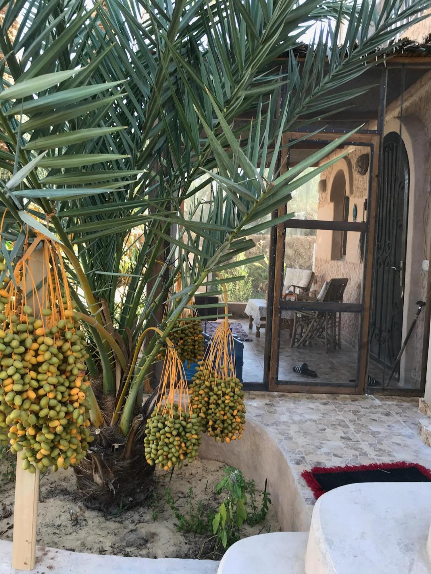 Apartamento Siwa Spot Siwa Oasis Exterior foto